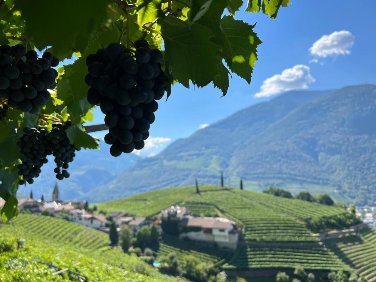 شقة Weingut Eberlehof بولزانو المظهر الخارجي الصورة
